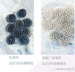 裕隆環保 裕龍活性生物填料，十六載創新路，匠心鑄就水處理新引擎