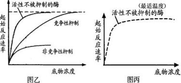 合成技術研發中的酶競爭性抑制機制及其啟示