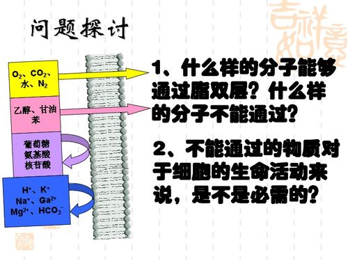 物質(zhì)跨膜運輸方式與生物合成技術的現(xiàn)代研發(fā)進展