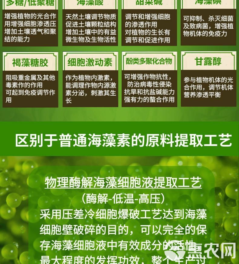 海藻肥“安豐樂” 深海力量的農(nóng)業(yè)革命，強力生根壯苗防病害